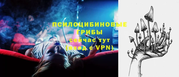 дживик Баксан