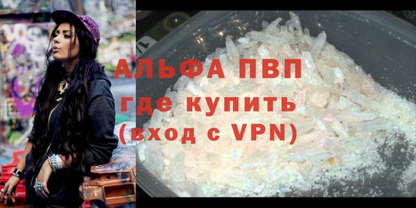 твердый Балахна