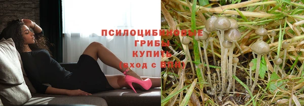 твердый Балахна