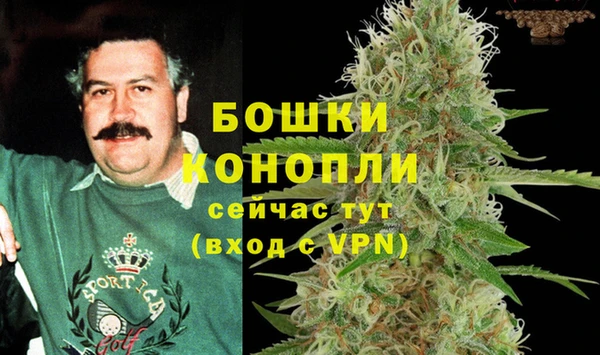 твердый Балахна
