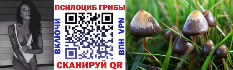 где можно купить   Пятигорск  Галлюциногенные грибы ЛСД 