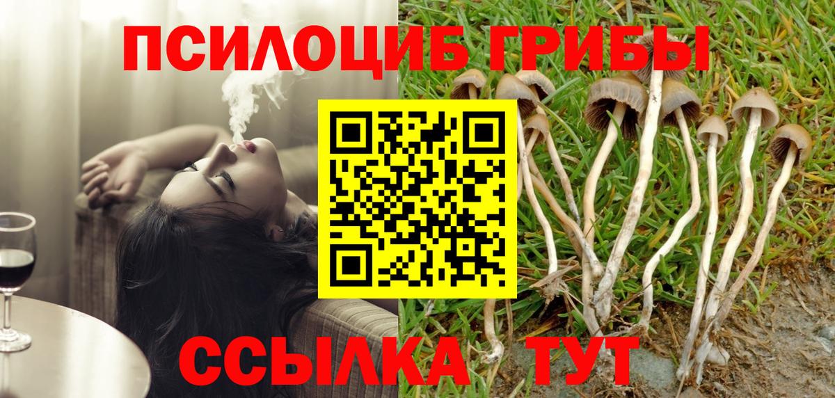 Пятигорск  Псилоцибиновые грибы мухоморы  Псилоцибиновые грибы MAGIC MUSHROOMS  Вход с VPN 