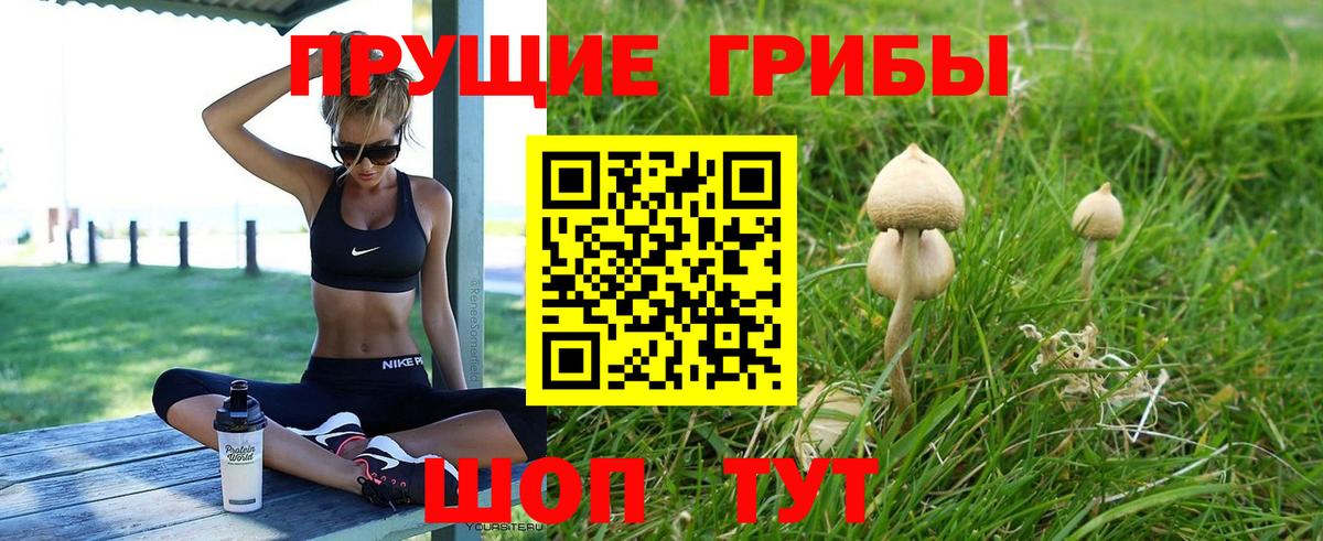 Галлюциногенные грибы GOLDEN TEACHER Пятигорск